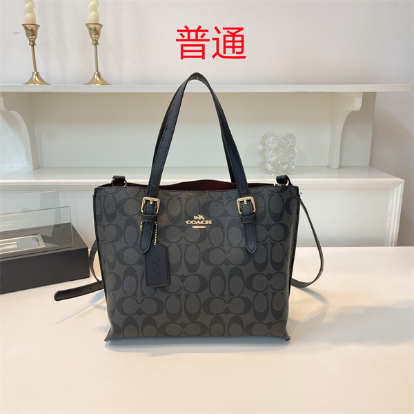 Coach bag-0419