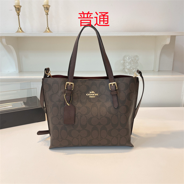 Coach bag-0423