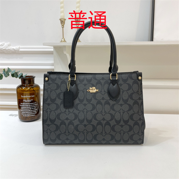 Coach bag-0441
