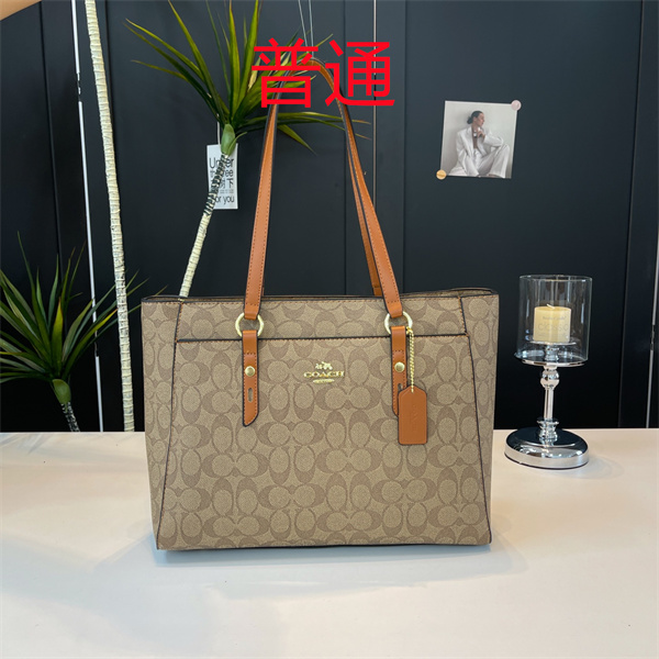 Coach bag-0449