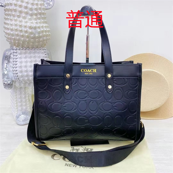 Coach bag-0453