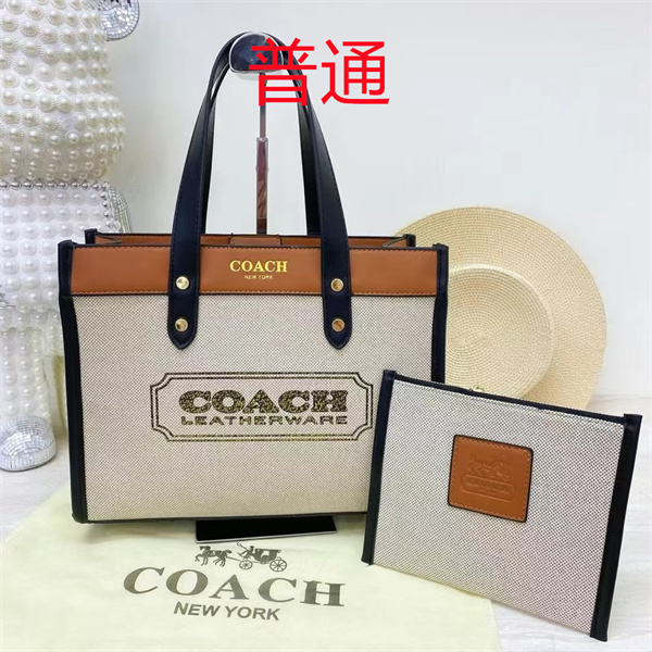 Coach bag-0455