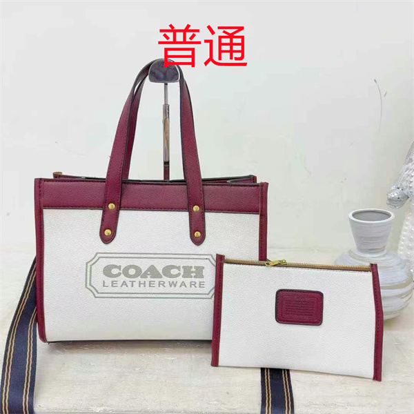 Coach bag-0458