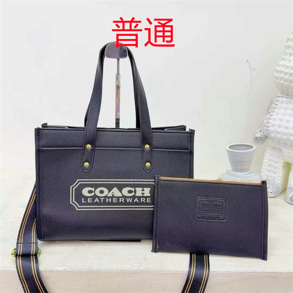 Coach bag-0460