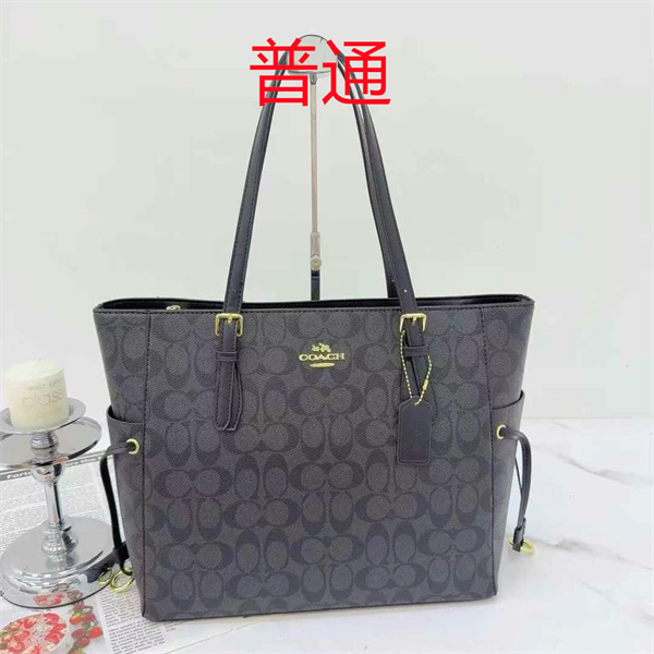 Coach bag-0464