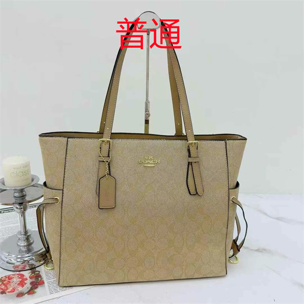 Coach bag-0466