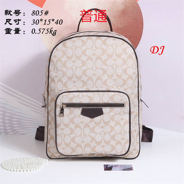 Coach bag-0047