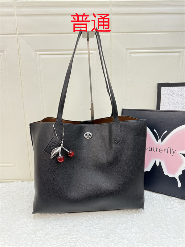 Coach bag-0486