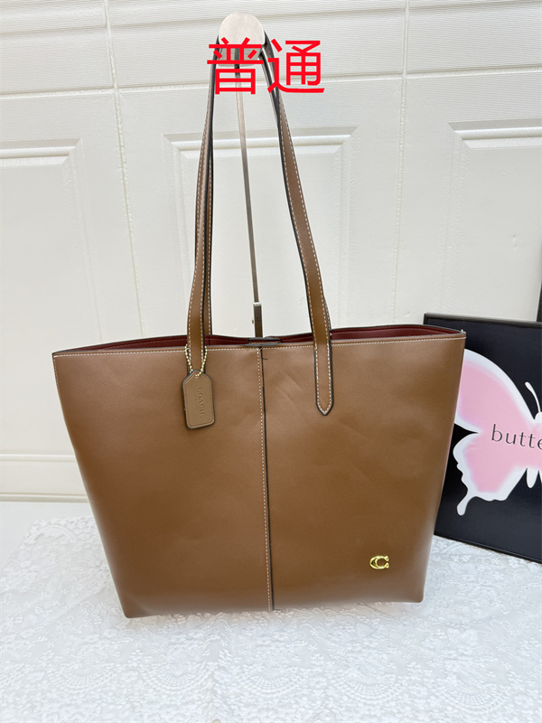 Coach bag-0489