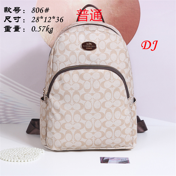 Coach bag-0049