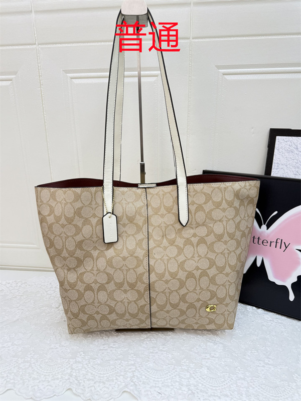Coach bag-0493