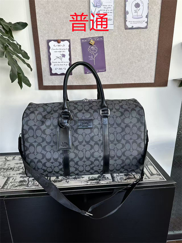 Coach bag-0499
