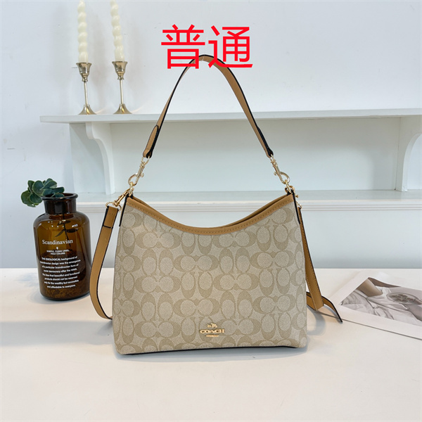 Coach bag-0515