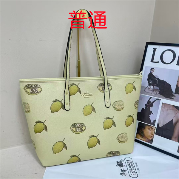 Coach bag-0518