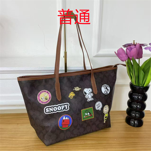 Coach bag-0549