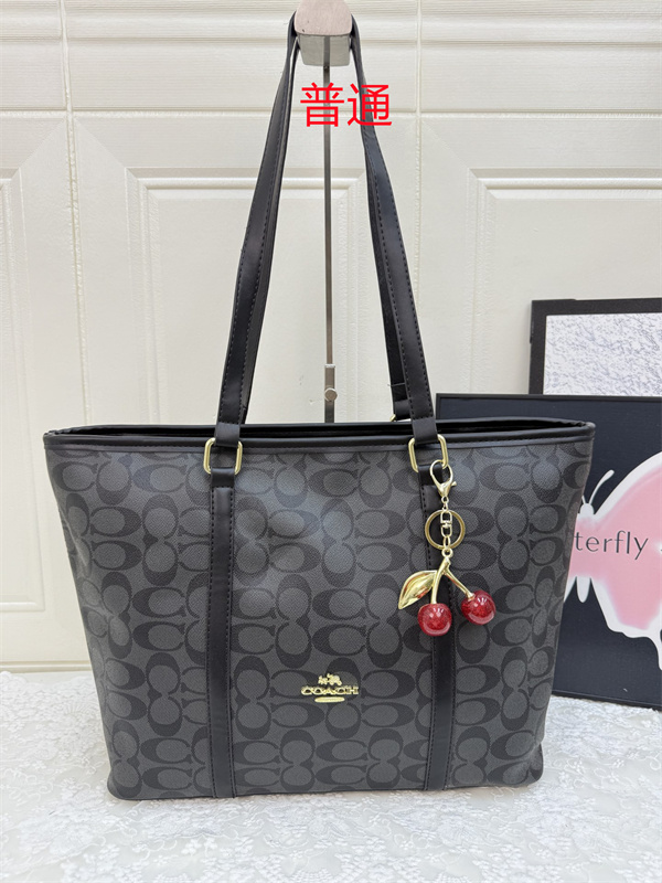 Coach bag-0559
