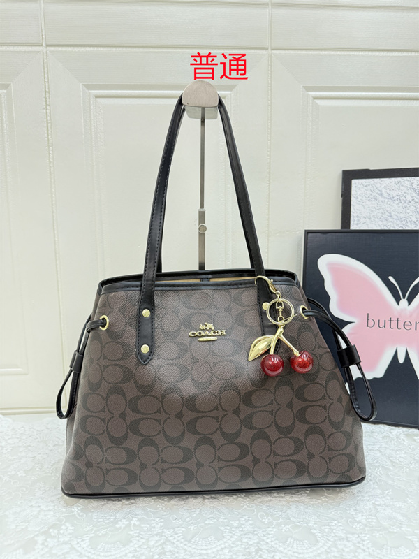 Coach bag-0568