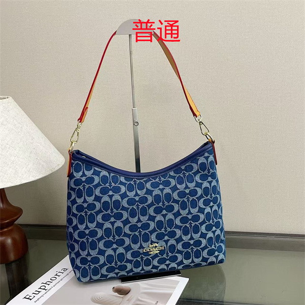 Coach bag-0575