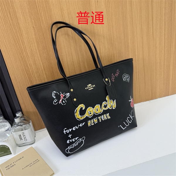 Coach bag-0582