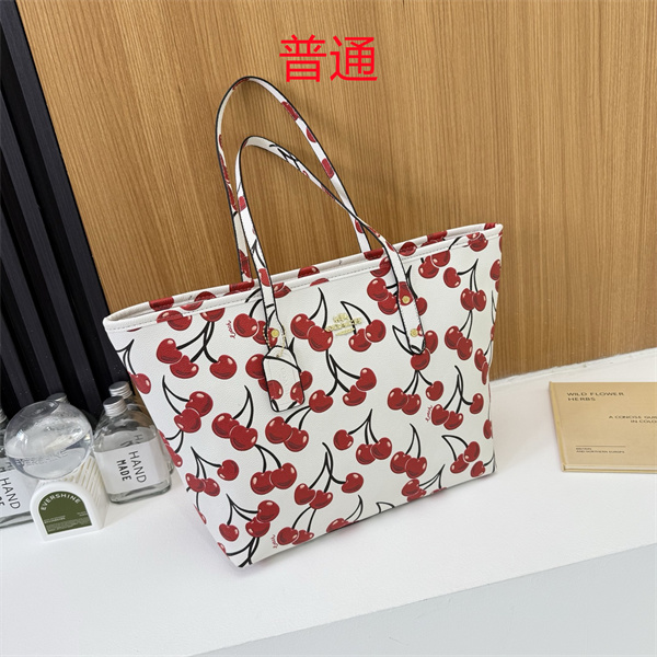 Coach bag-0588