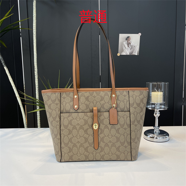 Coach bag-0609
