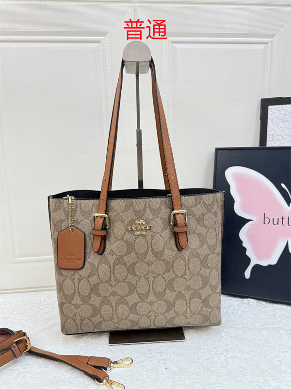 Coach bag-0616