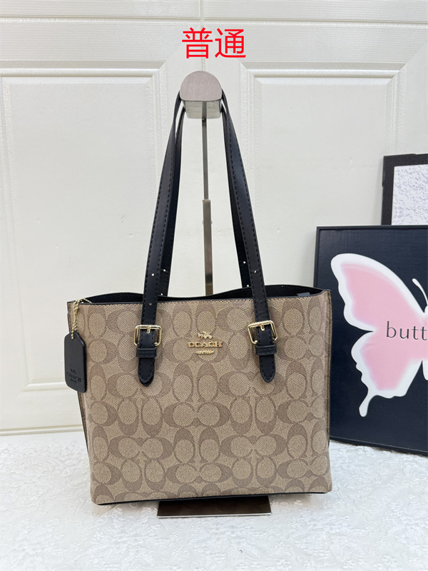 Coach bag-0619