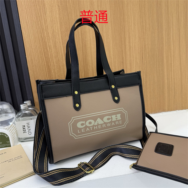 Coach bag-0634