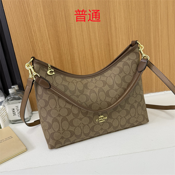 Coach bag-0639