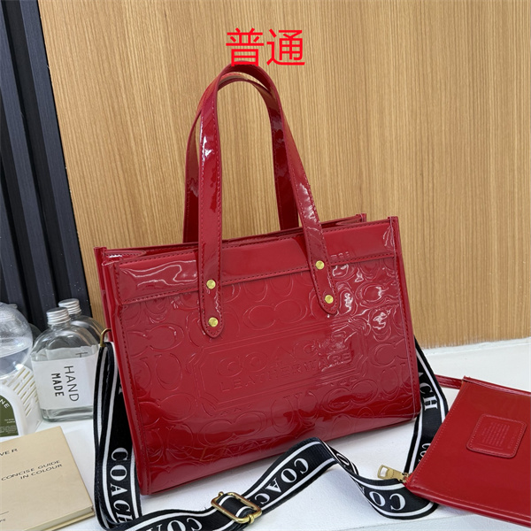 Coach bag-0644