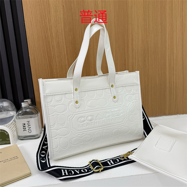 Coach bag-0648