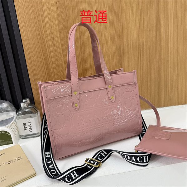 Coach bag-0649