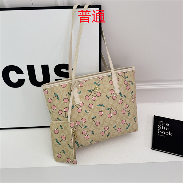 Coach bag-0656