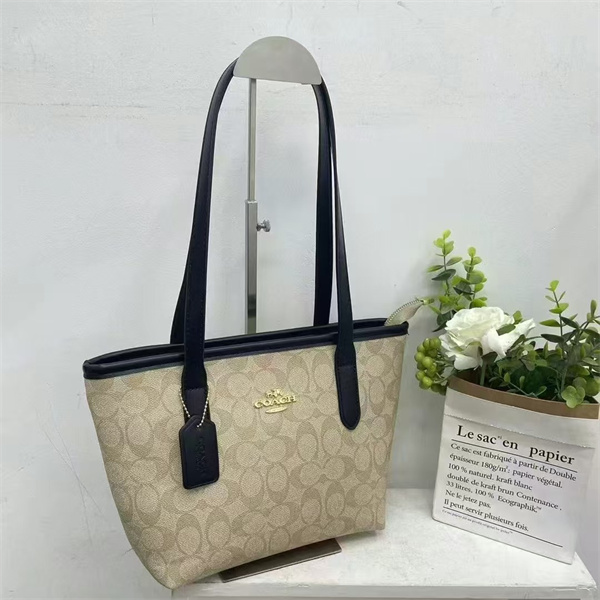 Coach bag-0066