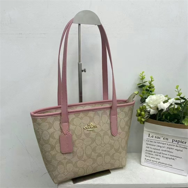 Coach bag-0068