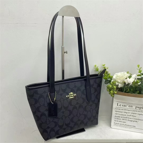 Coach bag-0071