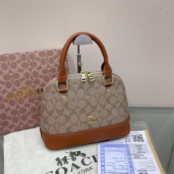 Coach bag-0089