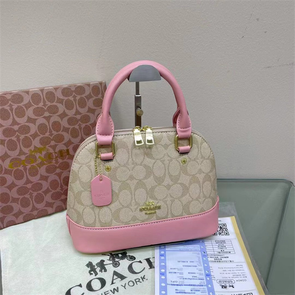 Coach bag-0094