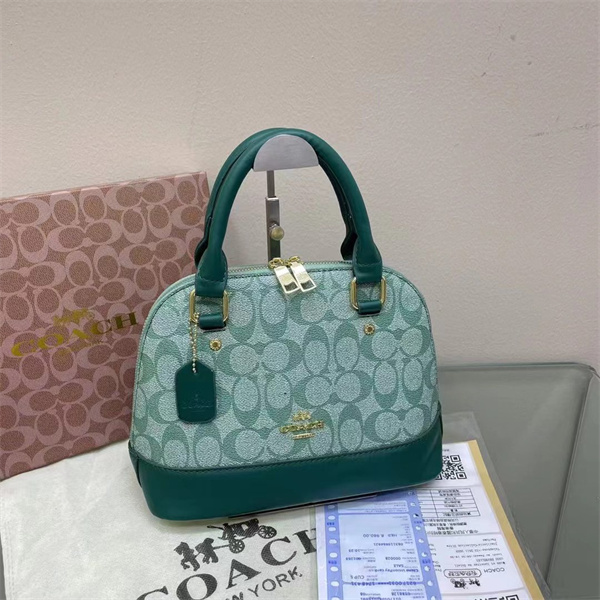 Coach bag-0096