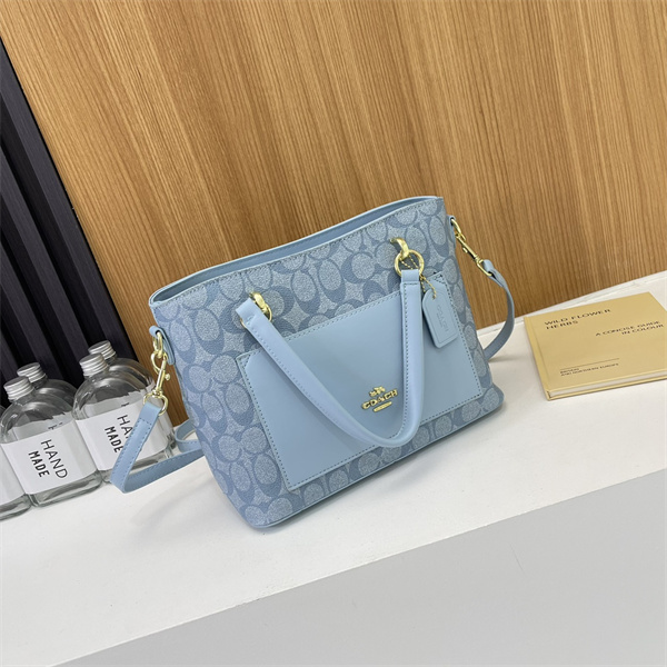 Coach bag-0099