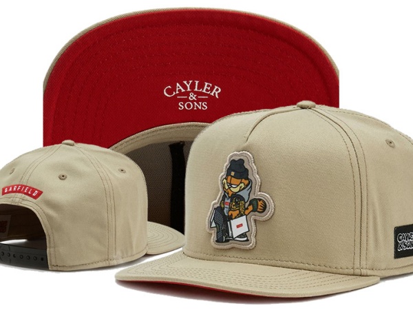 Cayler&Sons Snapbacks-0146