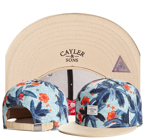 Cayler&Sons Snapbacks-0041