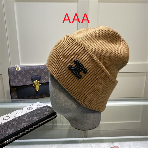 Celine Beanies(AAA)-043