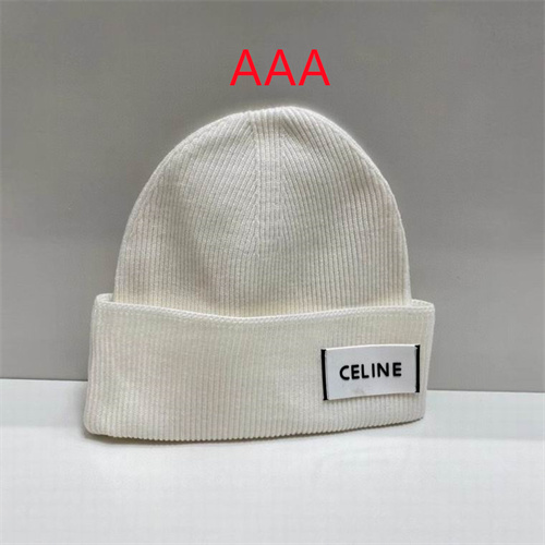 Celine Beanies(AAA)-009