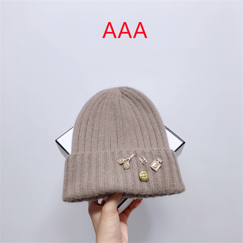 Chanel Beanies(AAA)-060