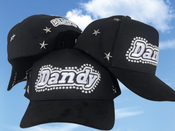 DANDY Snapbacks(AAA)-0030