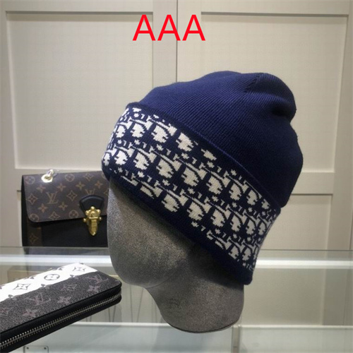 Dior Beanies(AAA)-025
