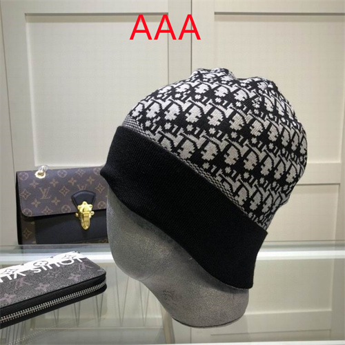 Dior Beanies(AAA)-032
