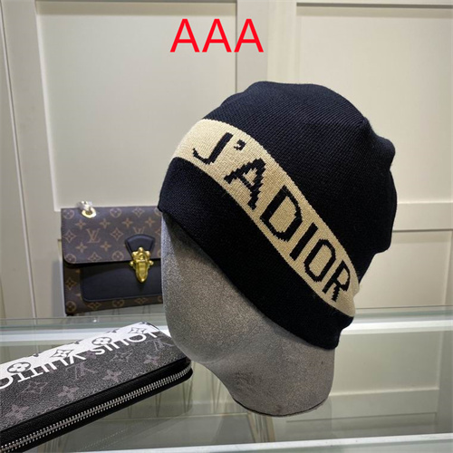 Dior Beanies(AAA)-036