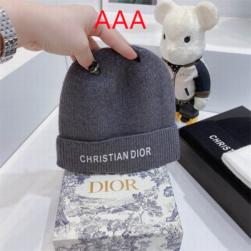 Dior Beanies(AAA)-004
